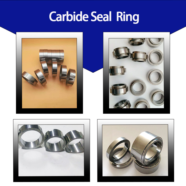 carbide seal ring -photos.jpg